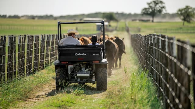 Everyday performance